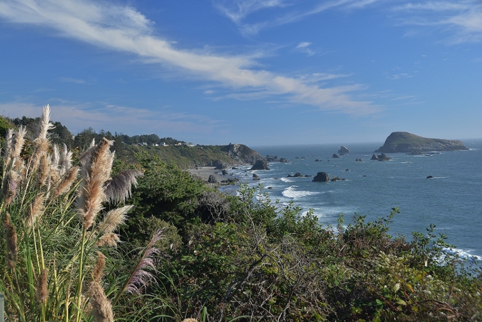 south coast 